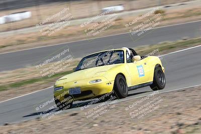 media/Feb-19-2023-Extreme Speed (Sun) [[b967fea7ae]]/3-Purple/session 3 bowl/